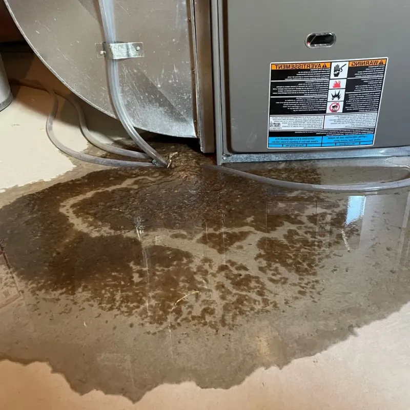 Pipe Burst and Leak Restoration in Winooski, VT
